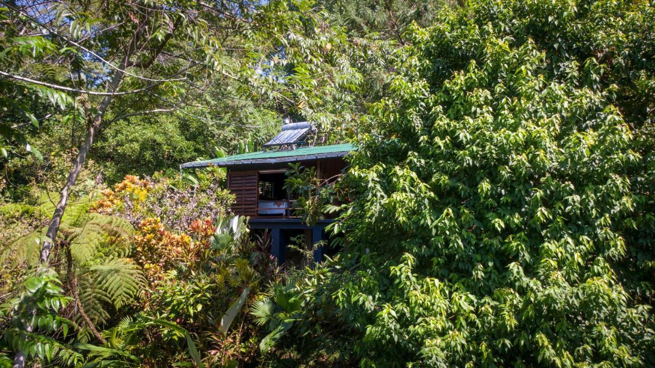 Tiskita Jungle Lodge Pavones  Exterior foto